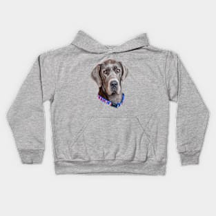 Head of a Blue Great Dane Kids Hoodie